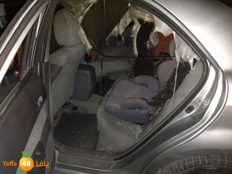 firelud608608 (17).jpg